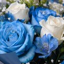 Buque Blue Roses