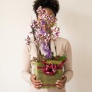 Cesta de Orquídeas Sofisticação 