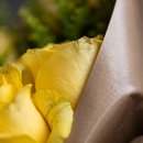 Buquê de Rosas Amarelas Brilho e Elegancia