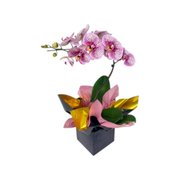 Orquídea Rosada Exótica em Brasília