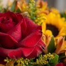 Buquê Rosa Importada Girassol e Alstroemérias Intenso!