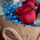 Buquê de Rosas com Flores Azuis Dois Tons de Amor
