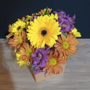 Arranjo Flores do Campo Harmonia Floral