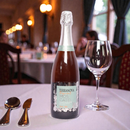 Espumante Terranova Tropical 750ml