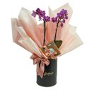 Box Premium Orquídea com Ferrero