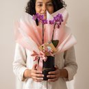 Box Premium Orquídea com Ferrero