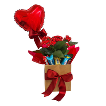 Cachepô Encanto com Bombons e Balão