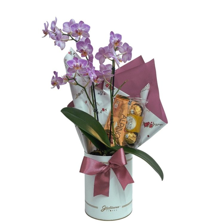 Box Elegance Branca Giuliana Flores Ferrero e Alpino