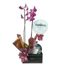 Caixa Giuliana flores com Orquídea e balão 
