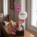 Caixa Giuliana flores com Orquídea e balão Parabéns