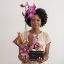 Caixa Giuliana Flores Orquídea e Pelúcia 