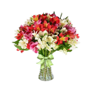 Arranjo De Astromelias Coloridas No Vaso De Vidro