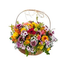 Cesta Cores da Alegria