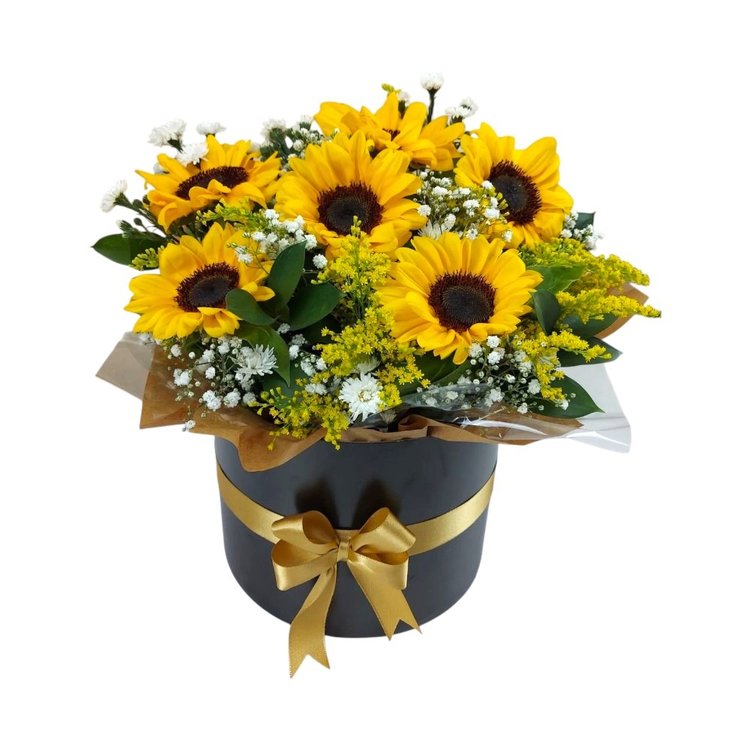 Elegante Caixa De Girassóis