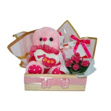 Cesta Pelúcia e Chocolate 