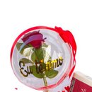 Box Premium Amor e Rosas