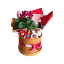 Box Comemorar Queijos e vinho