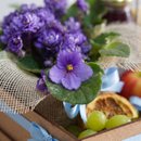 Cesta Grazin Especial Coffee
