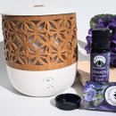 Kit Aromaterapia Difusor Twig e Óleo de Lavanda