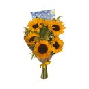 Buquê de Girassóis Clássico com Cartão Noite Estrelada