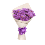 Buquê de Margaridas Roxas