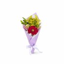 Ramalhete Delicado de Gérbera