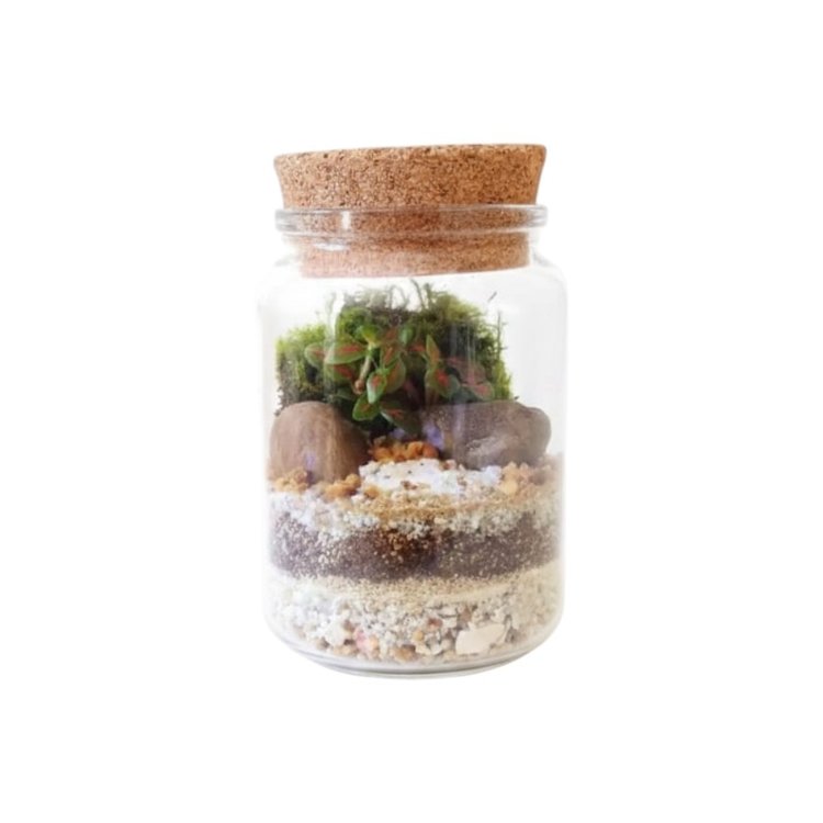 Terrário Paraíso Rústico