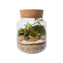 Terrário Paraíso Rústico G