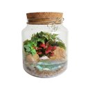 Terrário Amor de Mãe