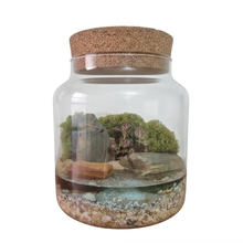 Terrário Amor de Mãe