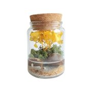 Herbário Flor de Outono