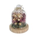 Herbário Cúpula Arranjo Afeto