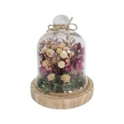 Herbário Cúpula Arranjo Afeto