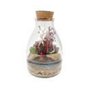 Herbário Recanto da Colina - Marsala