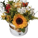 Box Flowwer