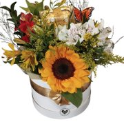 Box Flowwer