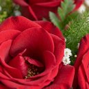 Buquê com 6 Rosas Nacionais