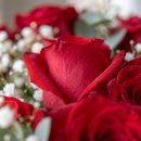 Buquê Clássico com 12 Rosas Nacionais