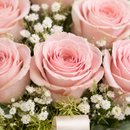 Buquê Clássico com 12 Rosas Nacionais Rosa Claro