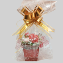 Mini Buquê de Peônia e Mini Rosas de Cera Aromática