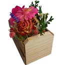 Feliz Dia Mini Engradado Florido e Aromatizado 