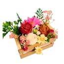 Mini Engradado Garden Todos os Momentos