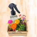 Kit Aroma com Home Spray e Ceras Aromáticas