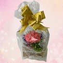 Arranjo Pequenos Carinhos Vela Peonia Aromatica