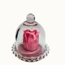 Vela Botão Rosa na Cúpula de Vidro 
