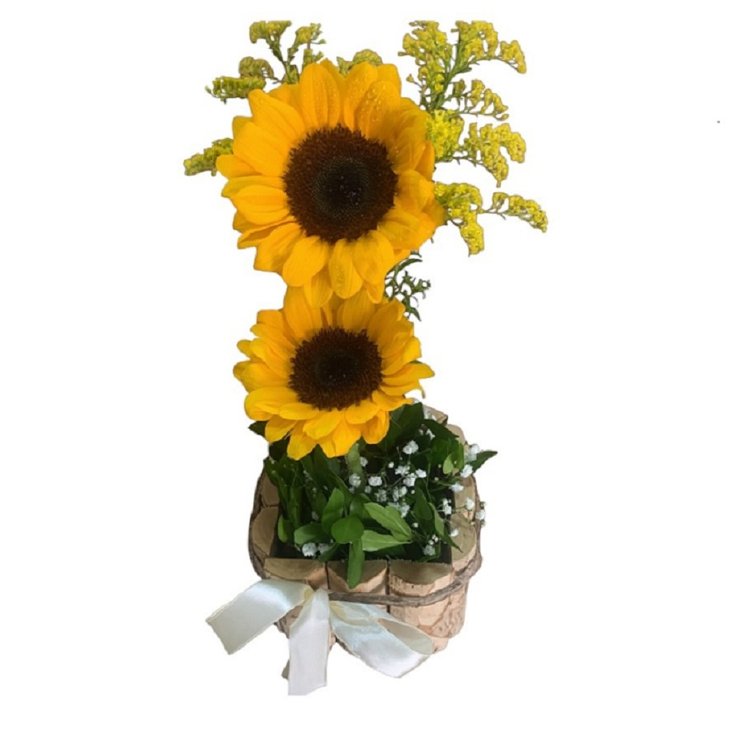 Girassol Encantado Duplo