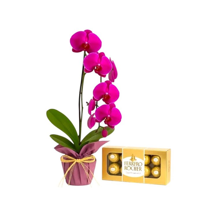 Orquìdea e Ferrero Rocher 8 Unidades
