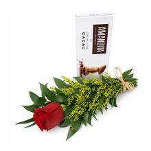 Botão de Rosa Vermelha Premium com Chocolate Amandita