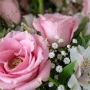 Ramalhete de 6 Rosas Cor Rosa