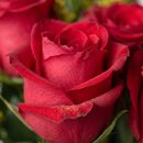 Buquê Alegria com 03 Rosas